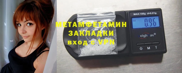 прущие грибы Волоколамск