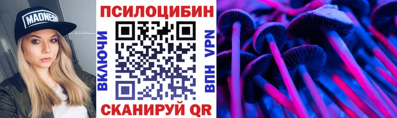Псилоцибиновые грибы GOLDEN TEACHER  наркотики  Норильск 